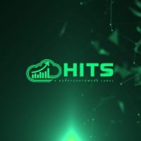 HITS - Partner in IT sourcing logo