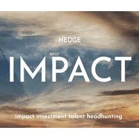 Hedge Impact headhunting logo