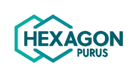 Hexagon Purus logo