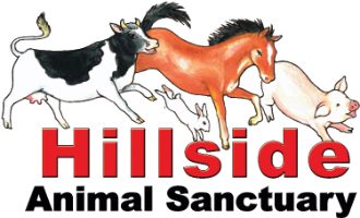 Hillside Animal Sanctuary logo