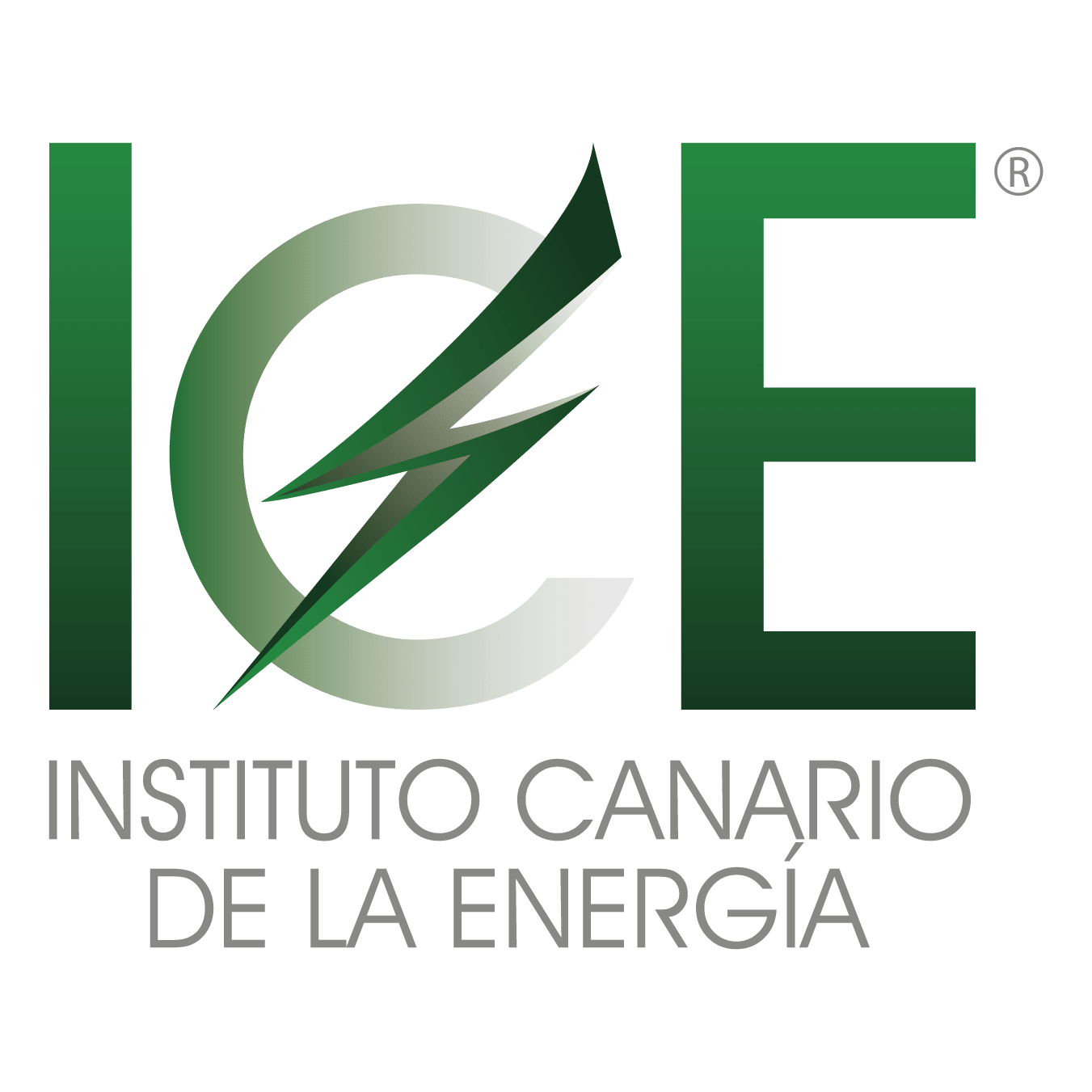 INSTITUTO CANARIO DE LA ENERGIA SOCIEDAD LIMITAD logo