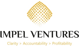 Impel Ventures Pvt. Ltd logo