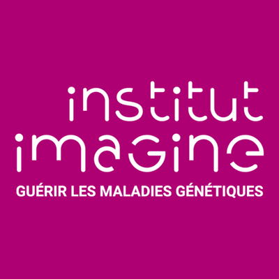 Institut Imagine logo