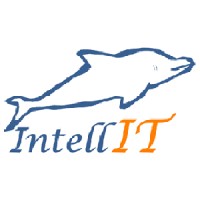 Intell-IT logo