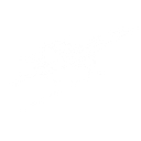 Interactivated Solutions logo