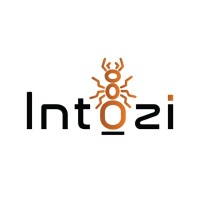 Intozi logo