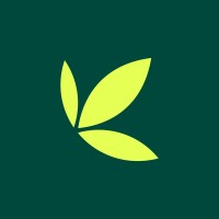 Bamboo logo
