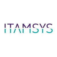 ITAMSYS logo