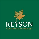 KEYSON DE MEXICO S.A DE C.V logo