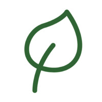 Koivu Solutions Oy