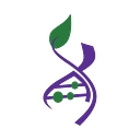 Los Angeles Cancer Network logo