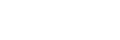 Lace Lithography logo