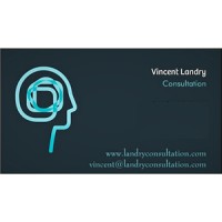 Vincent Landry Consultation logo