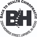 Back to Health Chiropractic logo
