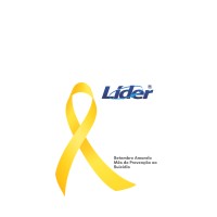 Líder Serviços Financeiros logo