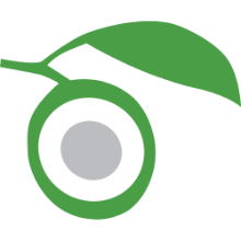 Limestone Learning logo