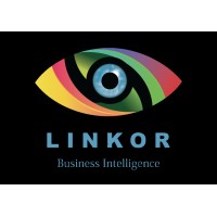 Linkor Business Intelligence logo