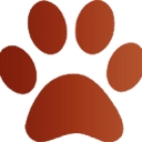 Lions Tigers & Bears logo
