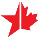 Lonestar Lumber logo