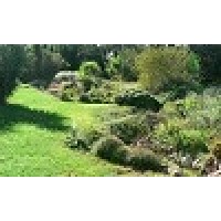 Lotus Mallorca, S.L. logo