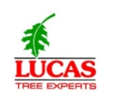 Lucas Tree Expert Co, Inc logo