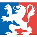 VILLE DE LYON logo