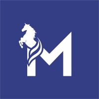 Mace Staffing Solutions Inc. logo