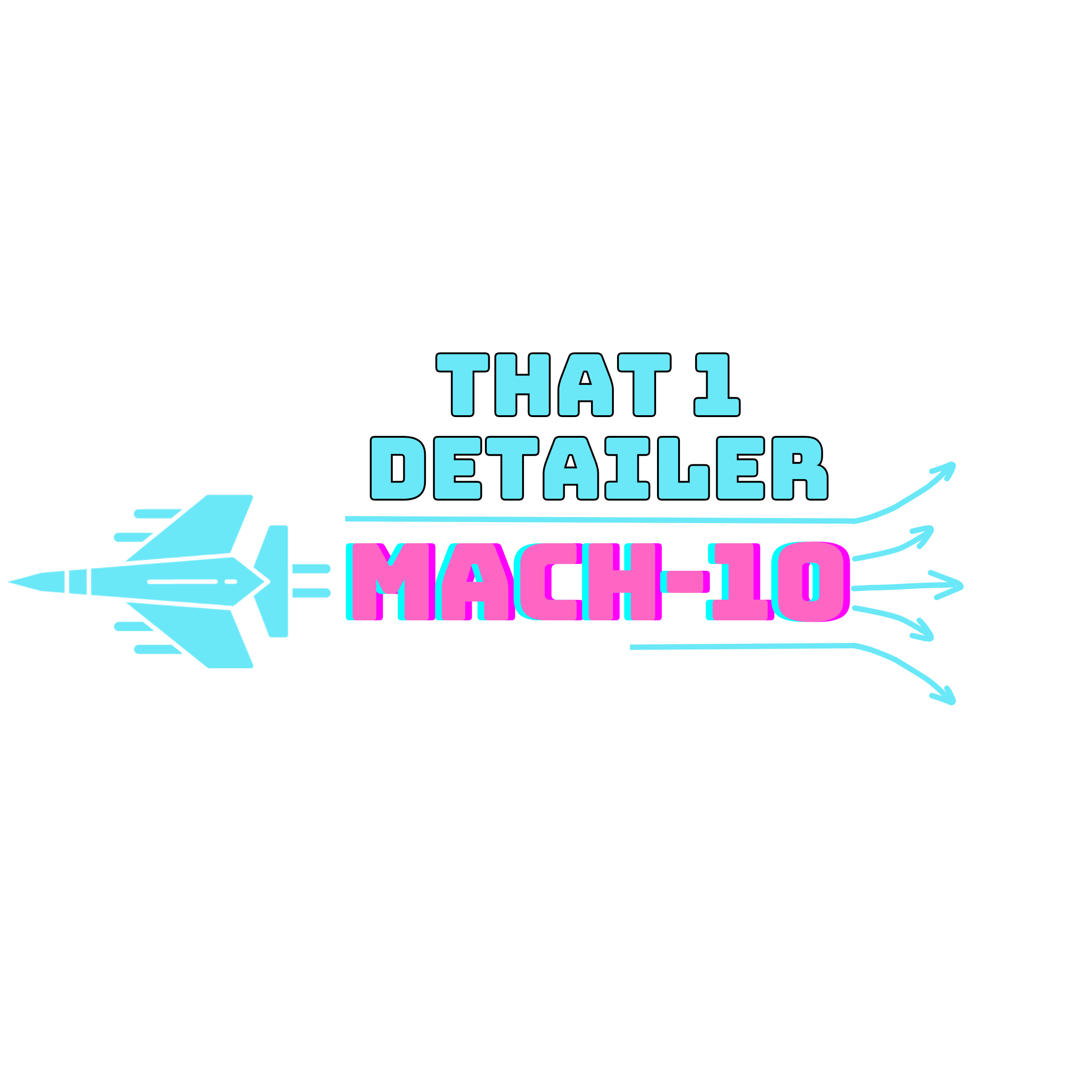 That 1 Detailer logo