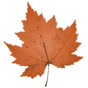 Maple Lake Academy logo