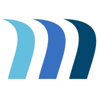 MaviTech Professional Services LLC logo