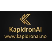Kapidron AI Solutions
