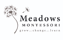 Meadows Montessori logo