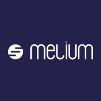 Melium Consulting logo