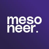 mesoneer logo