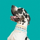 Metropolitan Veterinary Associates logo