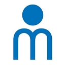 MINT Solutions logo