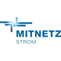 MITNETZ STROM logo