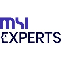 MSI Experts logo