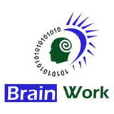 NAKS Digital Consulting logo