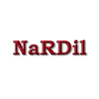NaRDil Enterprise logo
