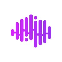 Native Brains logo