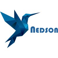 NEDSON logo