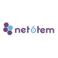 NET6TEM logo