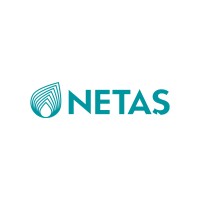 NETAŞ logo