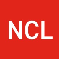 Net Consulting logo