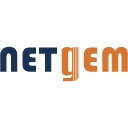 Netgem logo