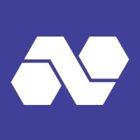 Netis - Web3 Consulting & Development logo