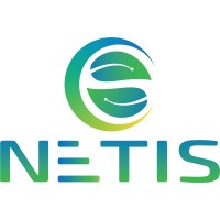 NETIS Group logo