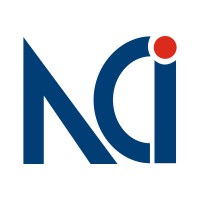 Netrika Consulting India Pvt Ltd logo