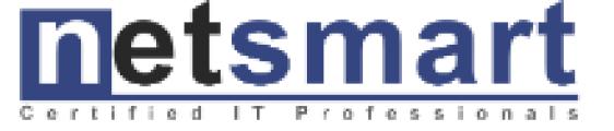 Netsmart Inc. logo